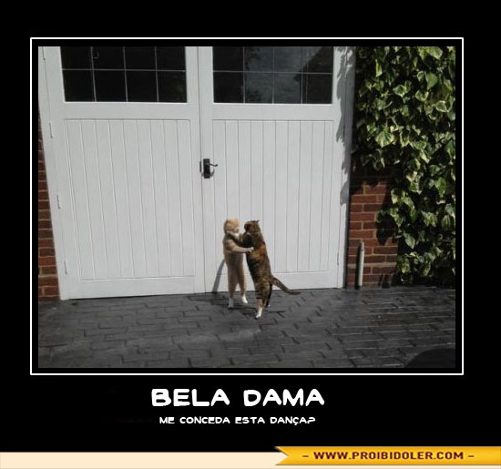 dama