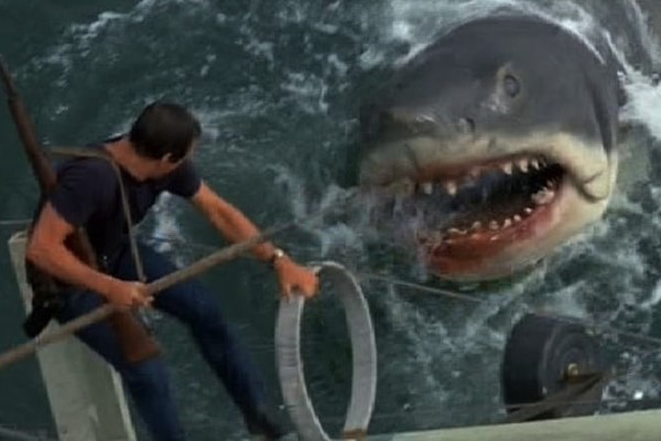 jaws1-min
