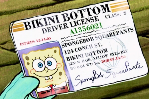 Curiosidades sobre "Bob Esponja Calça Quadrada"