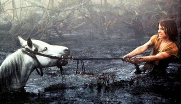 Curiosidades sobre o filme "A História Sem Fim" (1984)