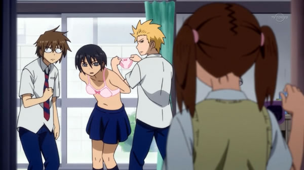 Resenha - Danshi Koukousei no Nichijou | O dia a dia cômico de garotos do colegial