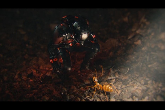 Homem Formiga  Novas fotos do Cast