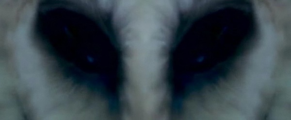 18 filmes incríveis sobre extraterrestres, invasões e abduções