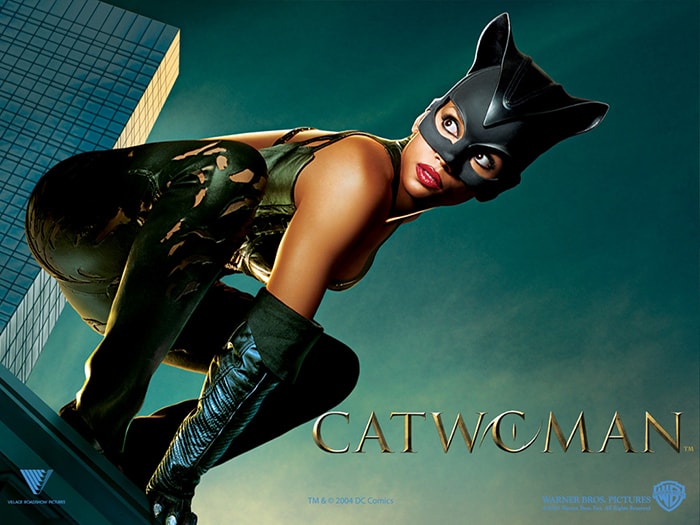 A busca pelo pior jogo do mundo  Catwoman (the Game) (3)