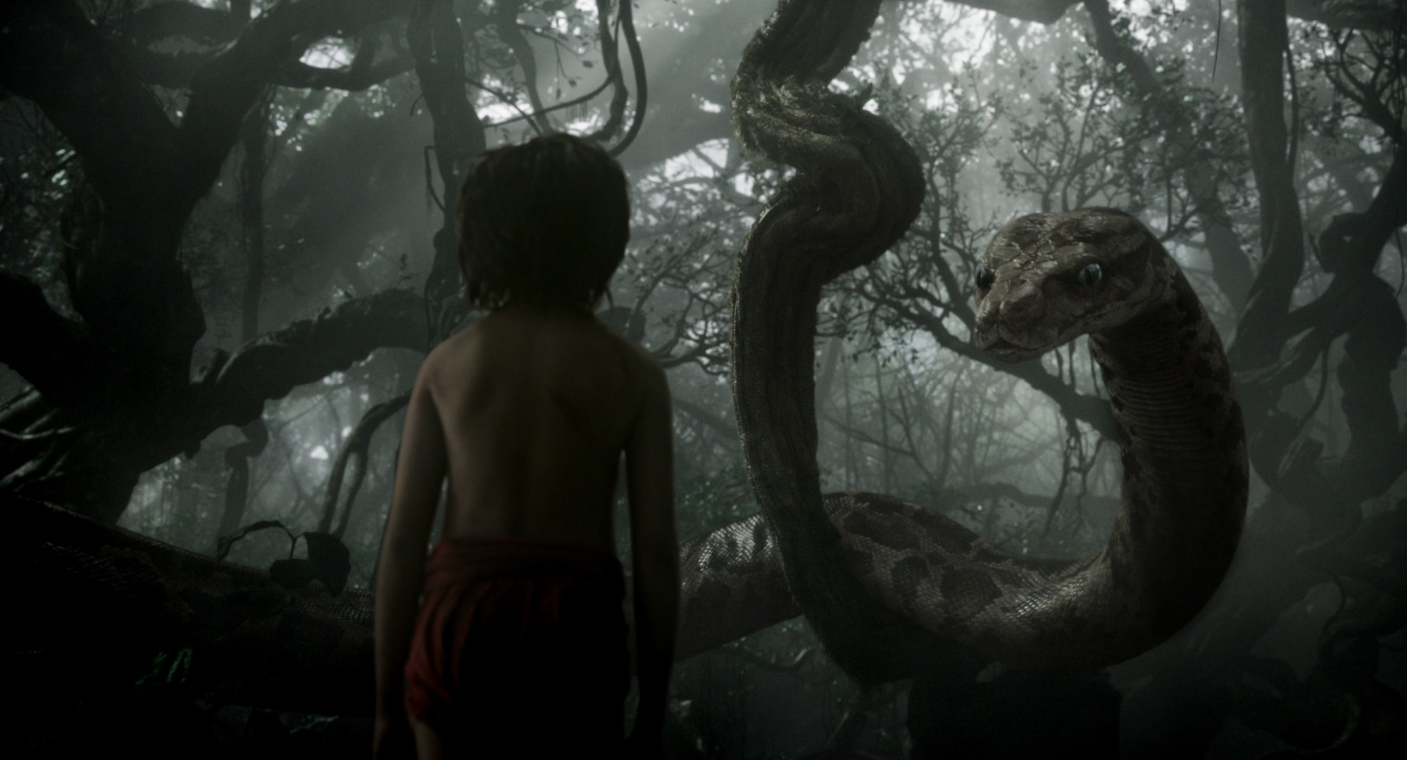 Mogli - O Menino Lobo | Primeiras imagens e teaser trailer são divulgados