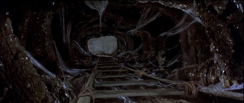 Curiosidades sobre o filme Labirinto - A Magia do Tempo (1986)