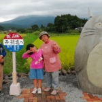 Casal de idosos cria estátua de 'Totoro' em ponto de ônibus