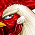HQ do Dia | Rooster Fighter - O Galo Lutador - Syu Sakuratani