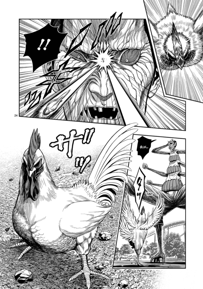 HQ do Dia | Rooster Fighter - O Galo Lutador - Syu Sakuratani