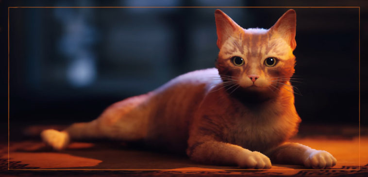 Stray | A diversão de estar na pele de um gatinho é maravilhosa